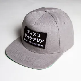 Disco Psychedelia - Snapback - Grey