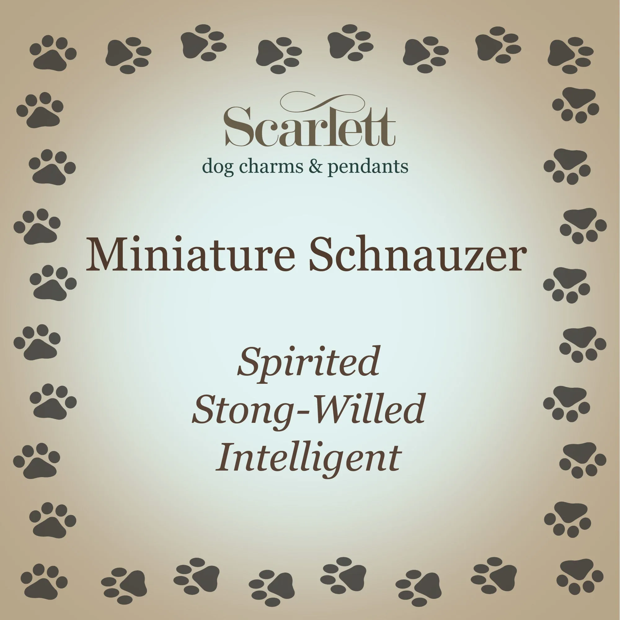 Miniature Schnauzer Silver Dog Charm